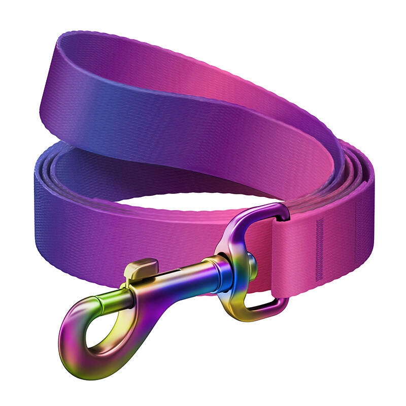 Waudog Gradient Nylon Kutyapóráz 2,5x122cm - Lila (46609)