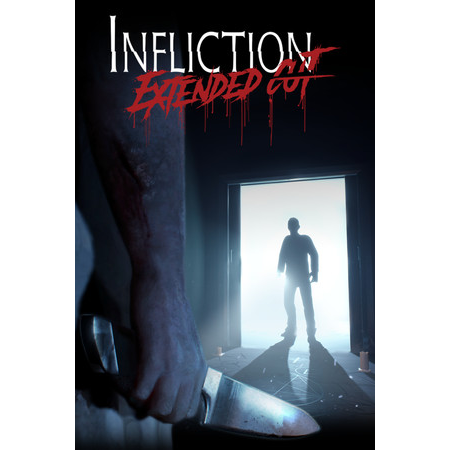 Infliction (PC - Steam elektronikus játék licensz)