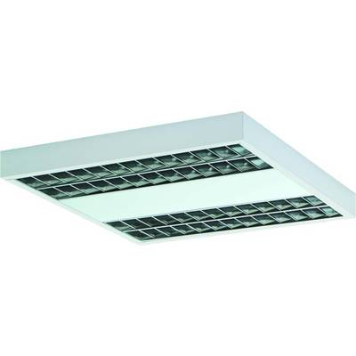 RIDI (660206) (660206) Mennyezeti lámpa LED Fehér (660206)