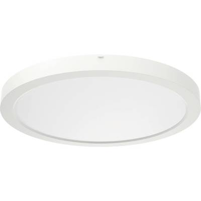 RIDI (322095) (322095) LED-es mennyezeti lámpa LED Fehér (322095)