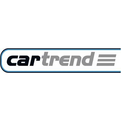 Cartrend Sátorcövek 1 db (10195) (10195)