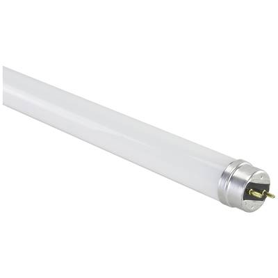 Megaman MM54254 LED EEK F (A - G) G13 Cső forma 9 W Semleges fehér (Ø x H) 28 mm x 603 mm 1 db (MM54254)