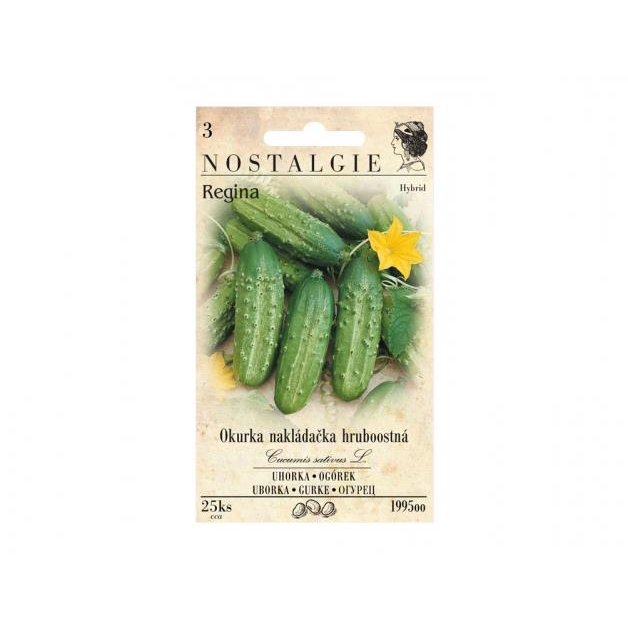 MORAVOSEED Uborka kovászolni való REGINA (1995oo)