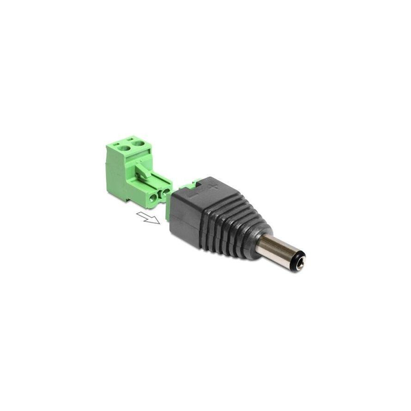 DELOCK Adapter Terminalblock 2Pin -> DC 2,1 x 5,5mm St 2-tei