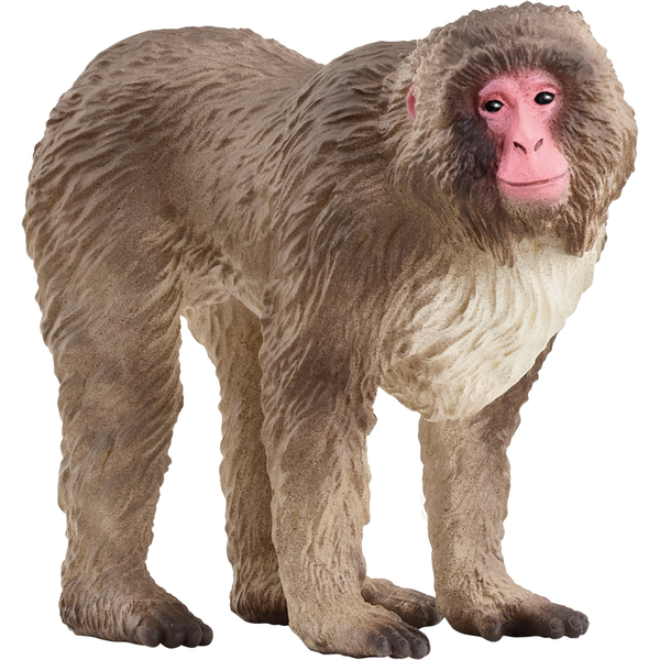 schleich WILD LIFE 14871 speelgoedfiguur kinderen