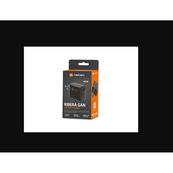 Nabíječka do sítě, Nabíječka pro notebooky Natec Ribera Gan 1x USB-A + 1x