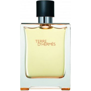 HERMES Terre d' Hermés EdT 100 ml