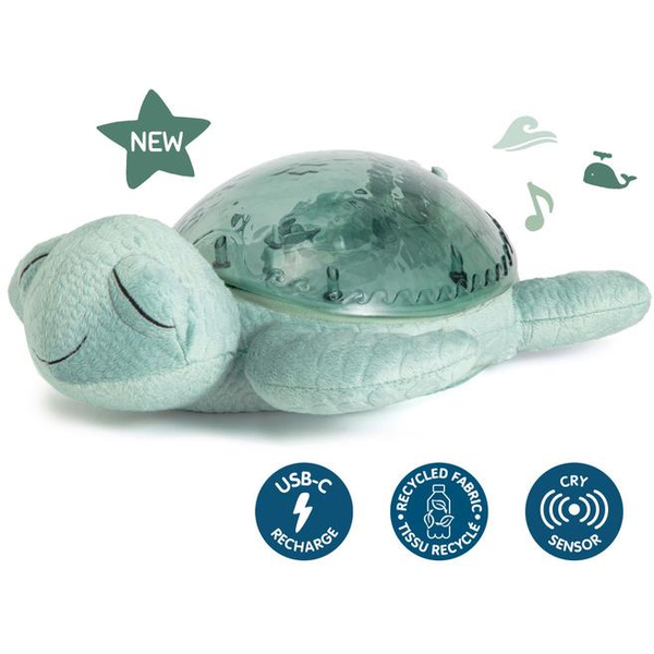 Cloud b Tranquil Turtle teknős, zöld