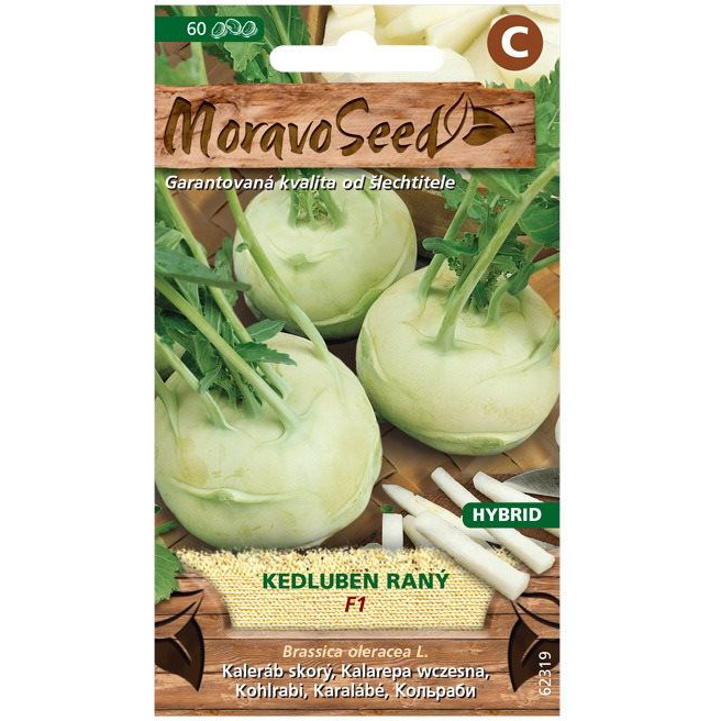 Karalábé korai KORFU F1 - hibrid, fehér (1232mm)