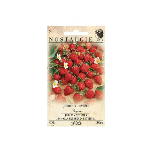 MORAVOSEED Eper folytontermő (1000oo)