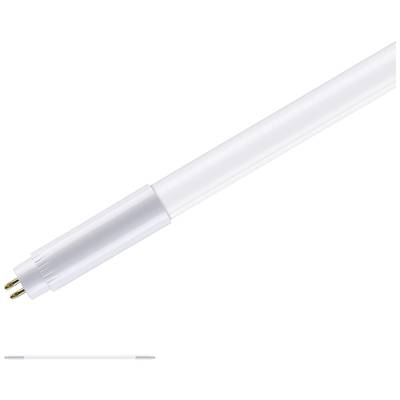 Paulmann LED csövek EEK: F (A - G) G5 8.5 W Melegfehér (O x H) 18 mm x 563 mm 1 db (29109) (29109)