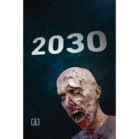 2030 (PC - Steam elektronikus játék licensz)