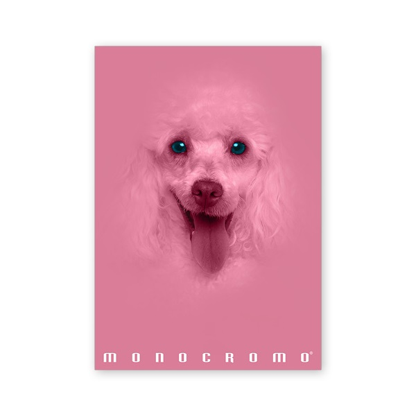 Pigna Monocromo Pink A4 38 lap, tűzött, kockás füzet (P1111-1293)