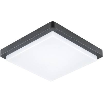 EVN DAQH54141502 EVN Lichttechnik LED-es mennyezeti lámpa 14 W Antracit (DAQH54141502)