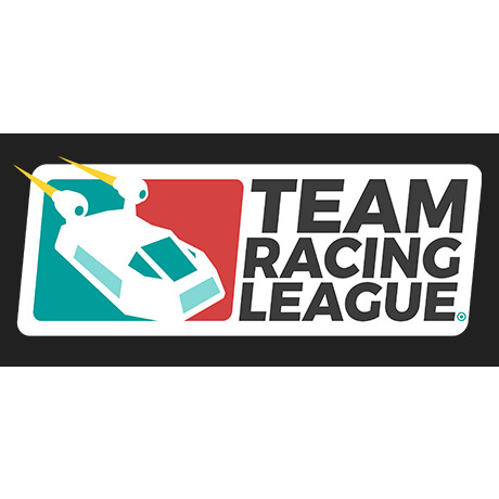 Team Racing League (PC - Steam elektronikus játék licensz)