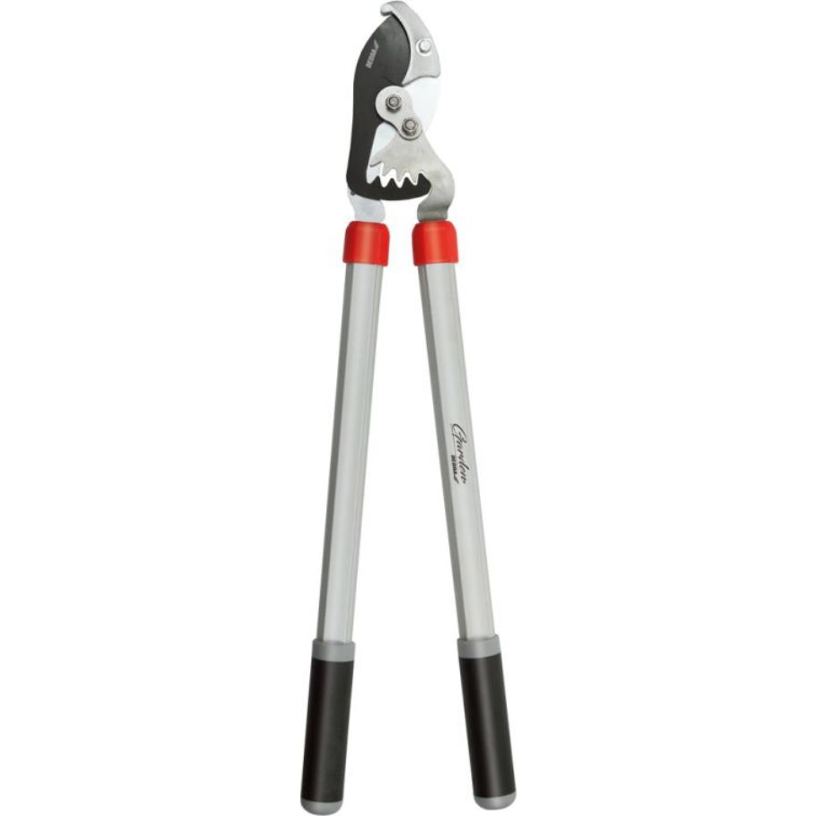 Dedra Üllős Metszőolló Ágakhoz, Áttétel (80A030)