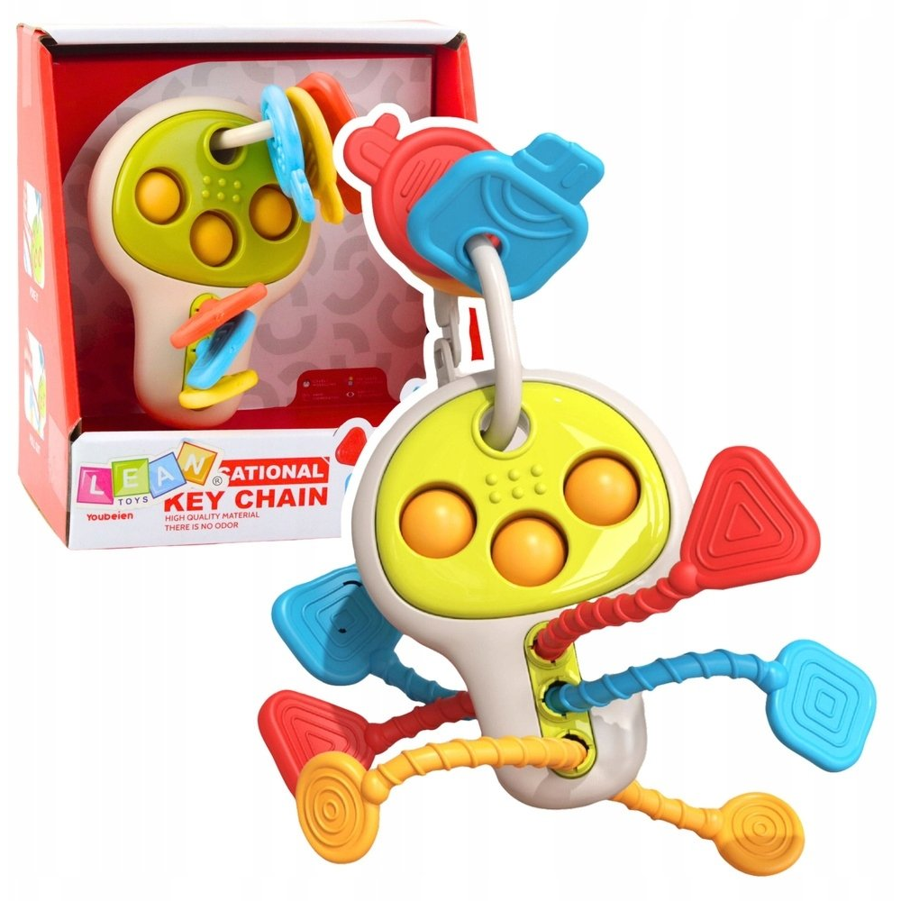 Oktató Jellegű, Mozgó Elemekkel Ellátott Érzékszervi Billentyűk  23019 (23019)