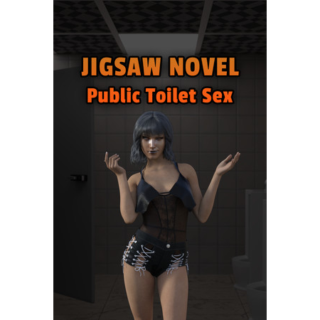 Jigsaw Novel - Public Toilet Sex
