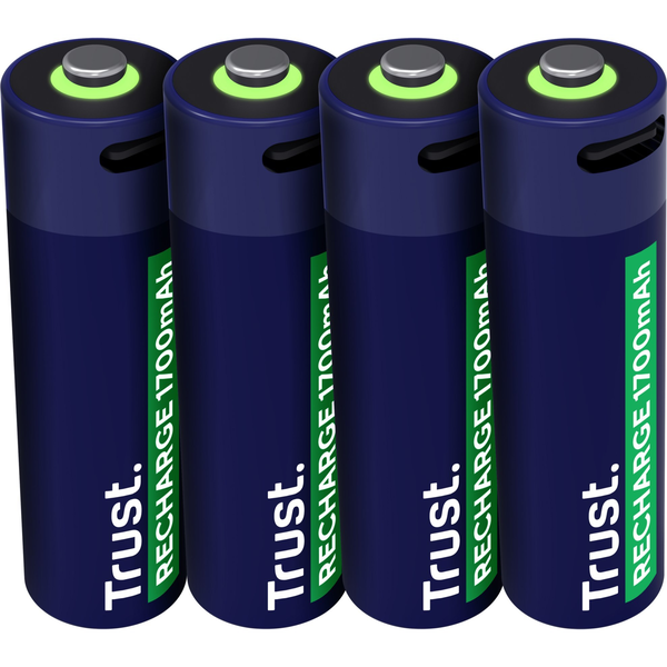 Trust 25631 batteria per uso domestico Batteria ricaricabile Stilo AA