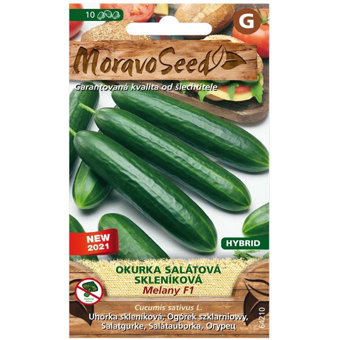 Üvegházi saláta uborka MELANY F1 - hibrid (2063mm)