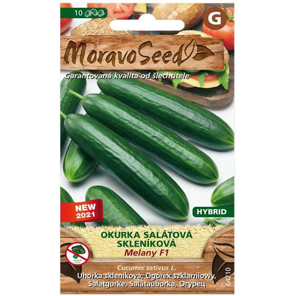 Üvegházi saláta uborka MELANY F1 - hibrid