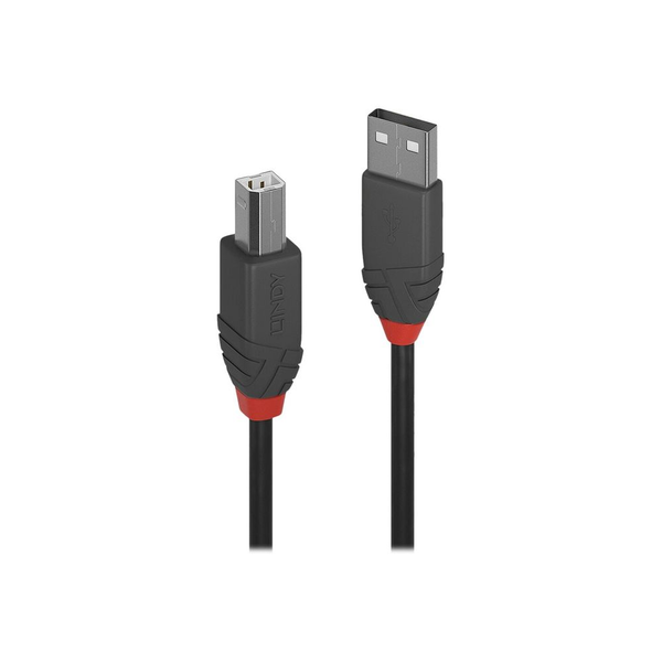 Lindy 36670 USB-kabel USB 2.0 0,2 m USB A USB B Sort, Grå