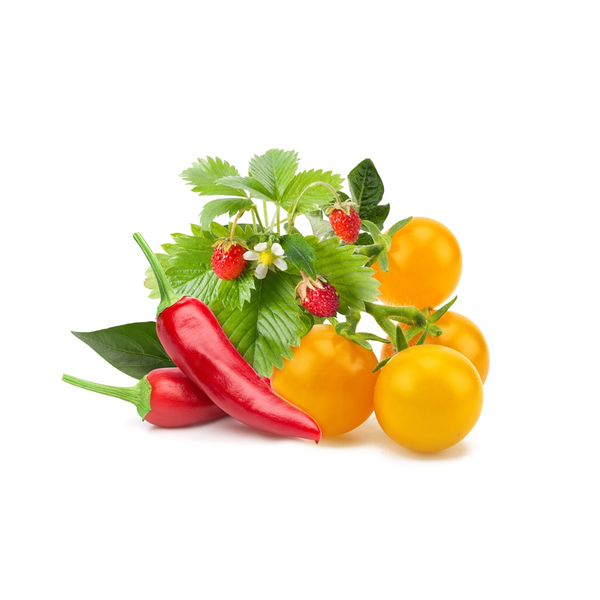 Zöldség-gyümölcs Mix növénykapszula 9 db