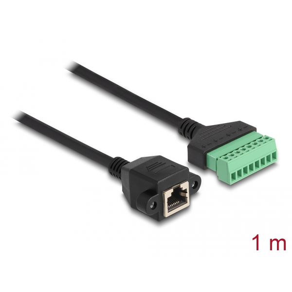 Kabelový adaptér RJ45 Cat.6 samice na svorkovnici 1m 2-žilový Delock 66055