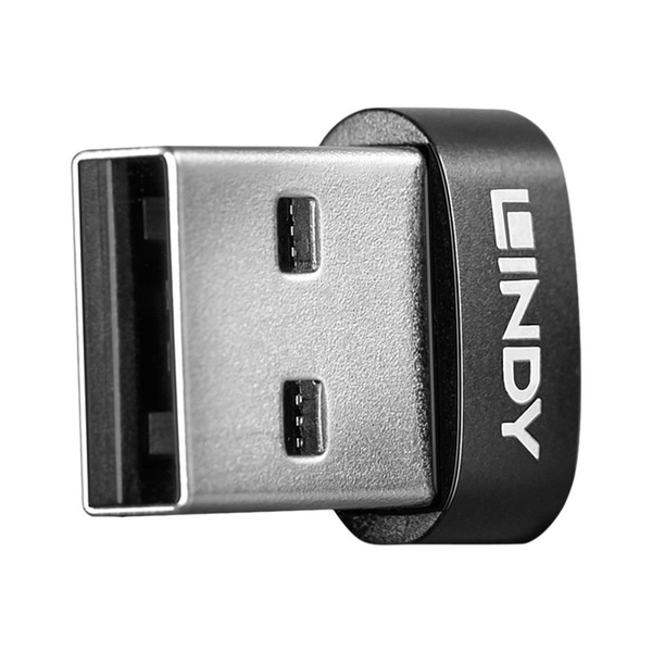 Lindy 41884 kabel kønsskifter USB Type-A USB Type-C Sort