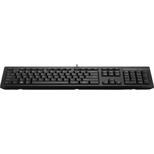 HP 125 USB Wired Keyboard tastiera Nero