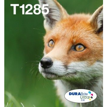 Epson Fox T128 глава и патрон за мастиленоструен принтер 1 броя Оригинал Черен, Синьо-зелен, Пурпурен, Жълт