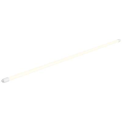 SLV LED csövek EEK: E (A - G) G13 T8 24 W Semleges fehér (O x H) 28 mm x 1510 mm 1 db (1007788) (1007788)