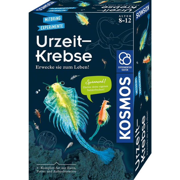 Kosmos 65787
