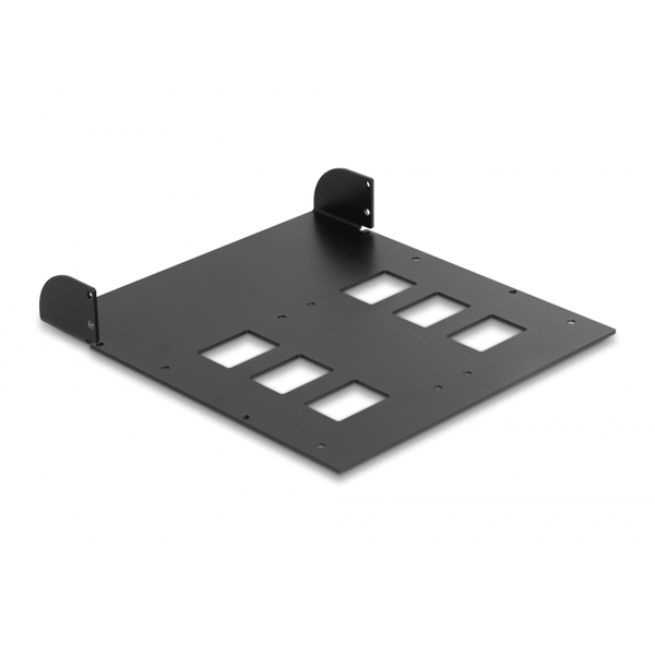 5.25 Metall Einbaurahmen für 2 x DELOCK Wechselrahmen