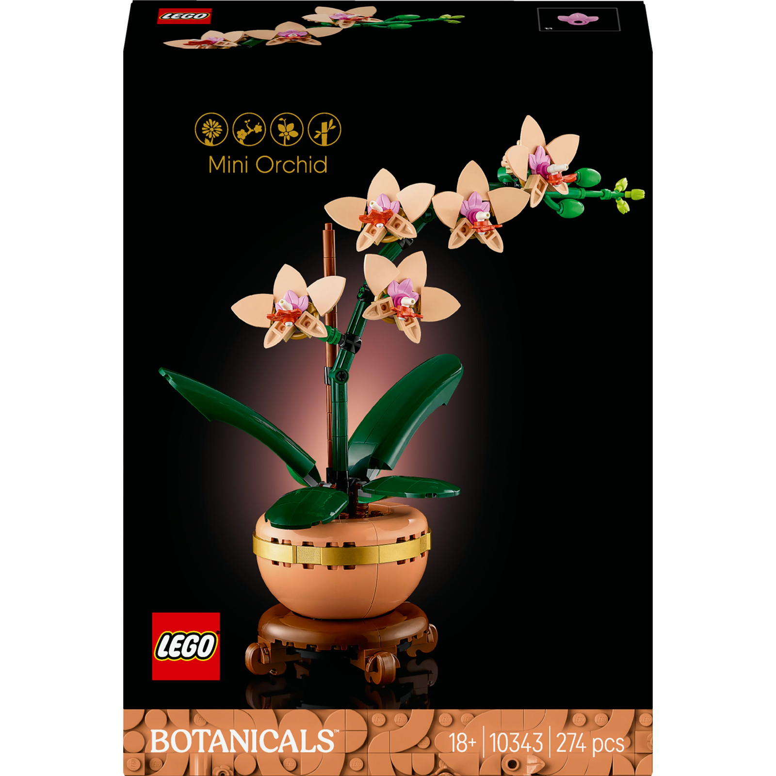 LEGO Botanicals 10343 Miniaturní orchidej (10343)