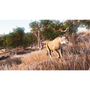 Hunting Simulator