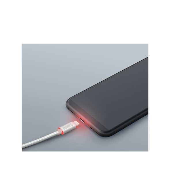 Delight Lightning apa - USB-C apa Adat- és töltőkábel 1m - Ezüst