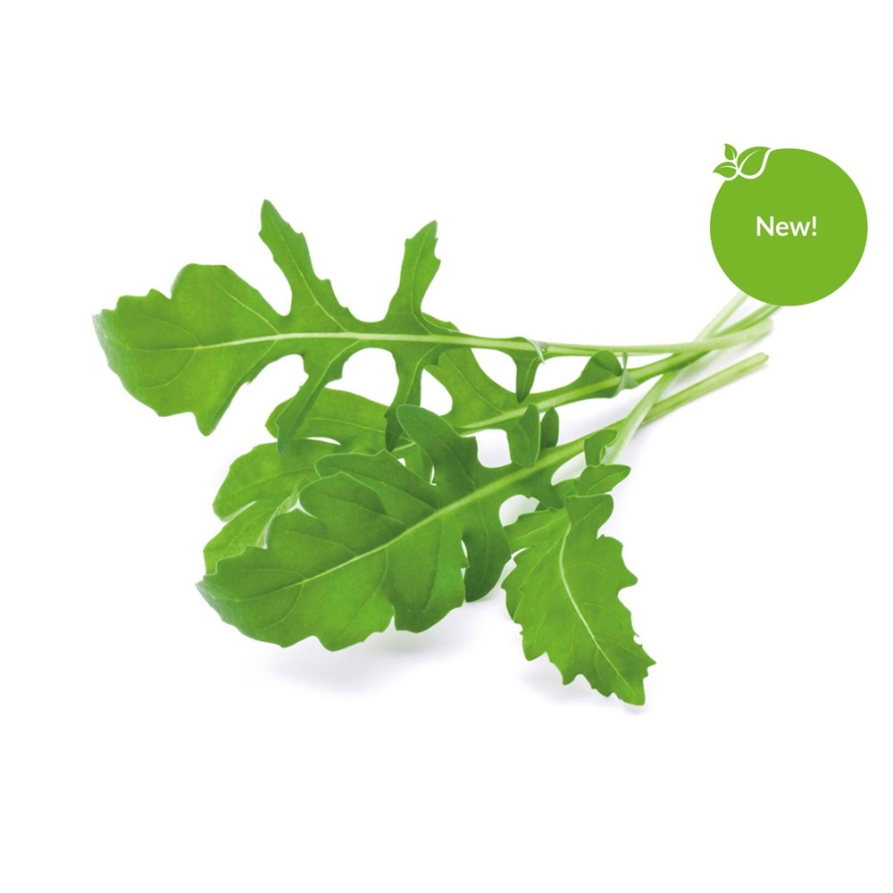 EMSA Click & Grow (SGR19X3)