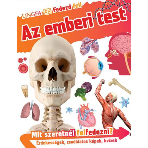 Fedezd fel! Az emberi test