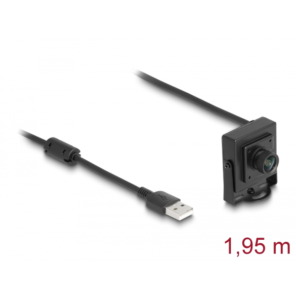 DELOCK USB 2.0 Kamera 2,1 Megapixel 100° Fixfokus