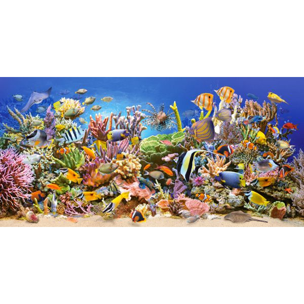 Castorland Underwater life 4000 pcs Puslespil 4000 stk Undersøisk
