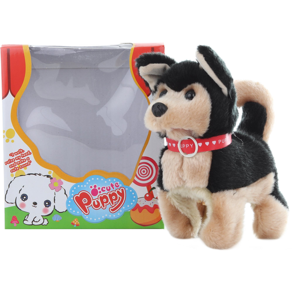 Lamps sétáló fekete kutyus