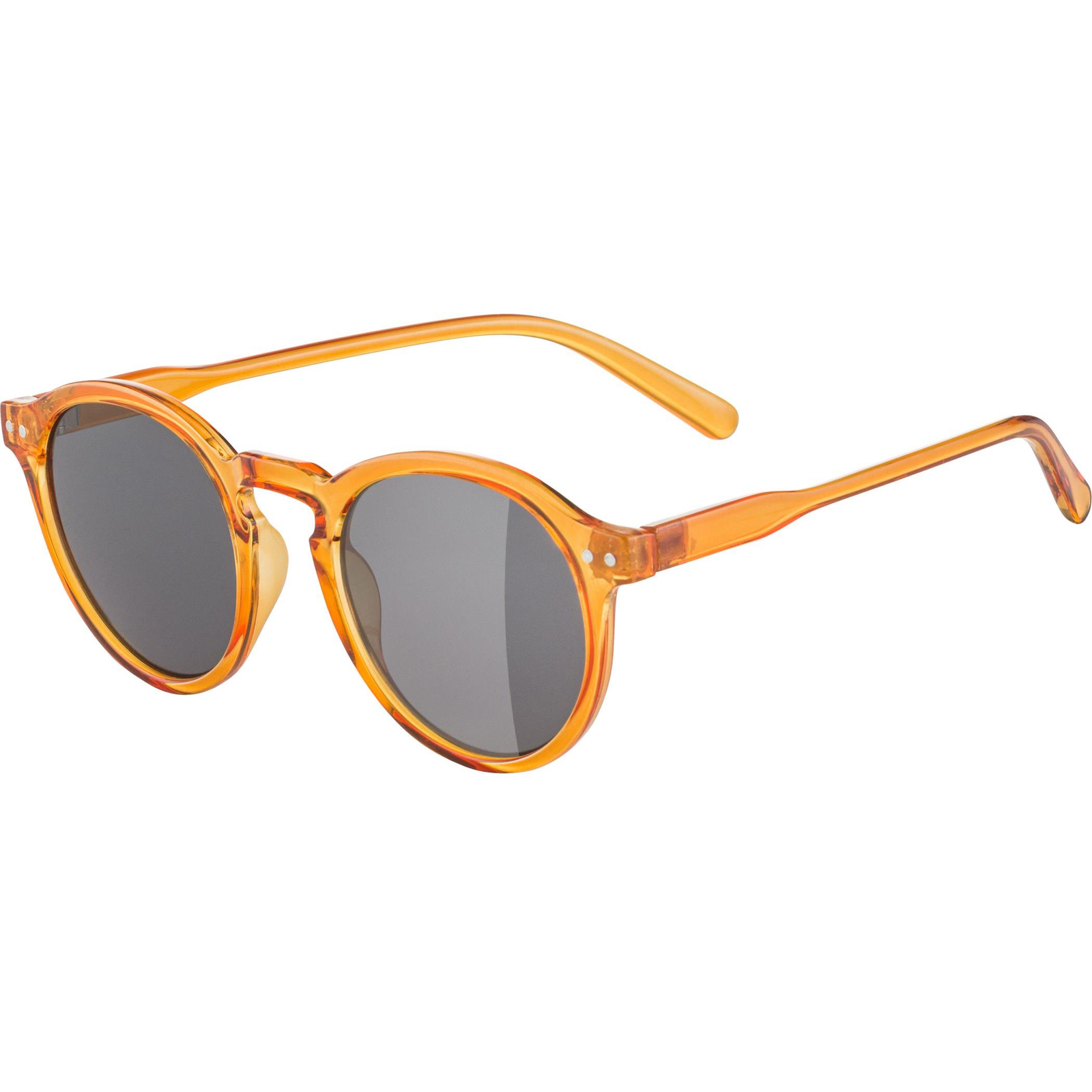 Alpina Sneek burrow-transparent gloss (4003692328908)