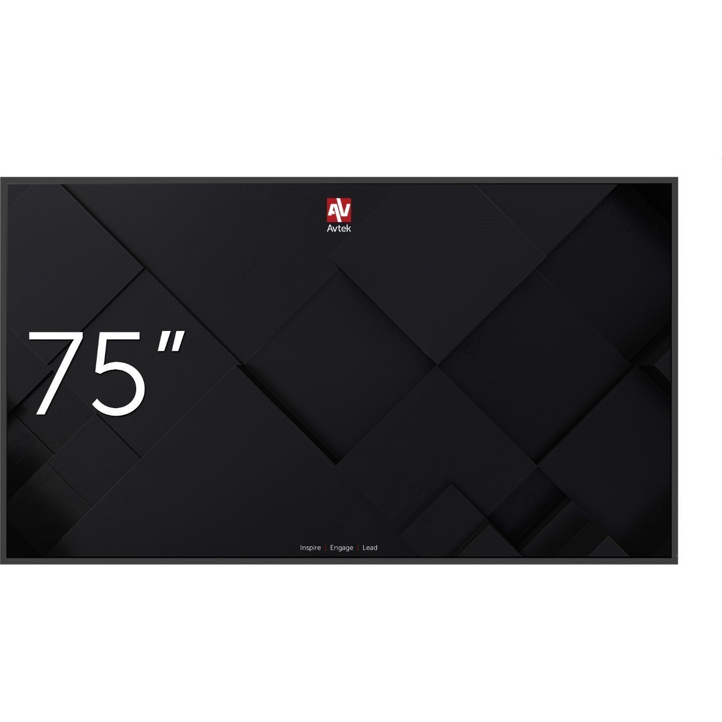 Avtek DS 75' monitor (1TV315)