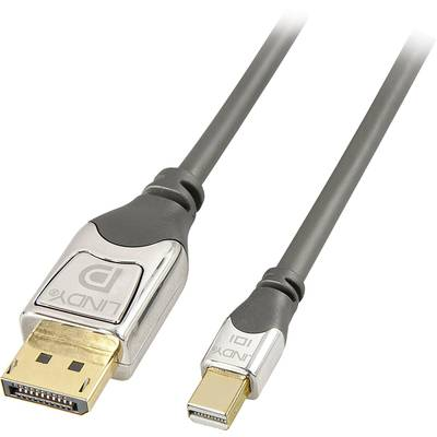 Lindy 36313 DisplayPort kabel 3 m Mini DisplayPort Šedá