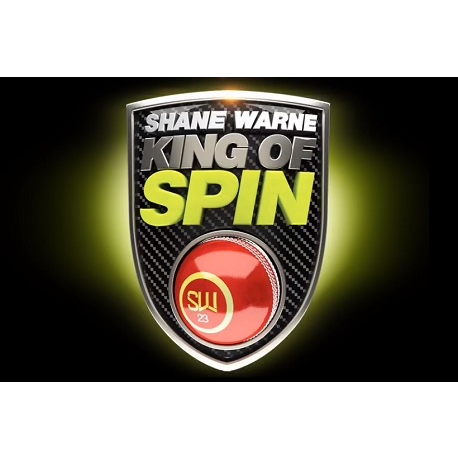 King of Spin VR (PC - Steam elektronikus játék licensz)