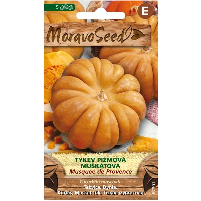 Pézsmatök MUSQUEE DE PROVENCE, szerecsendió (3881mm)