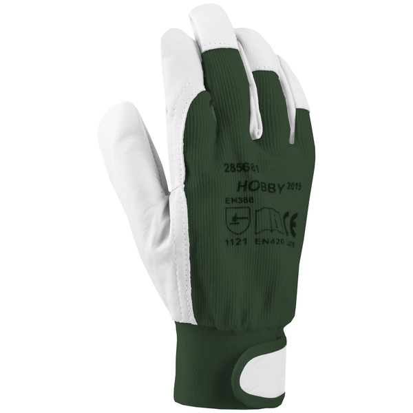 Ardon HOBBY Kesztyű, zöld, 08