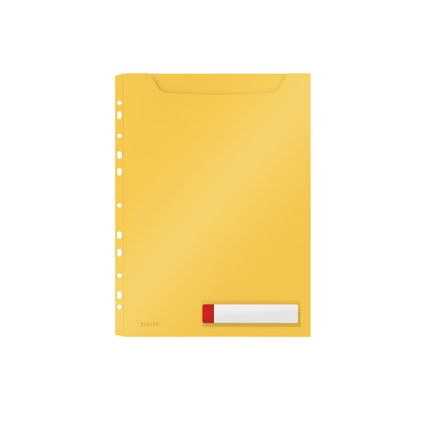 Leitz 46680019 foglio di protezione 210 x 297 mm (A4) Polipropilene (PP)