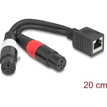 Delock Adapterkabel RJ45 Buchse zu 2 x XLR 3 Pin Buchse schwarz 20 cm